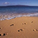 footprints