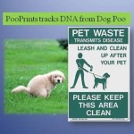 doggy doo